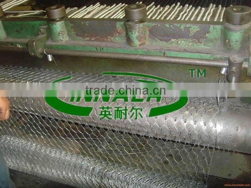 Chicken Wire Mesh for Free Range Chickens
