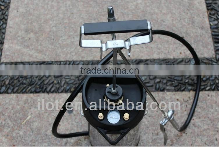 5L/10L Portable Stainless Steel Pressure Sprayer with plastic