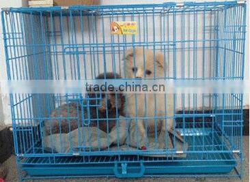 2016 higt quality CQX002 Fashion Color Cheap Metal Dog Cage