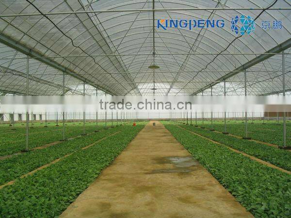 Plastic Poly Film Greenhouse