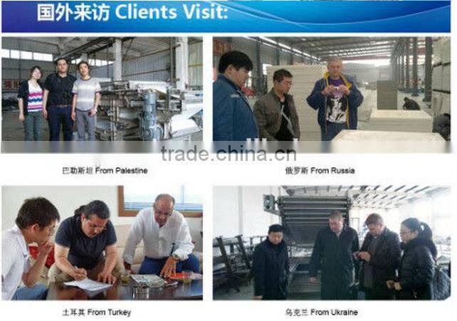 Toper the top three filter press equipment machinery company of China ,cast iron press filter for sale