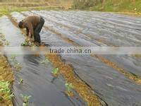 agricultural covering plastic film