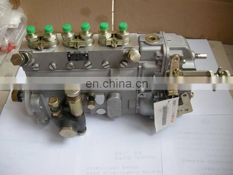 Weichai DeutzTBD226B-6 Engine Injection Pump 13021363 120KW Pump CRSV450...750AD0C208R