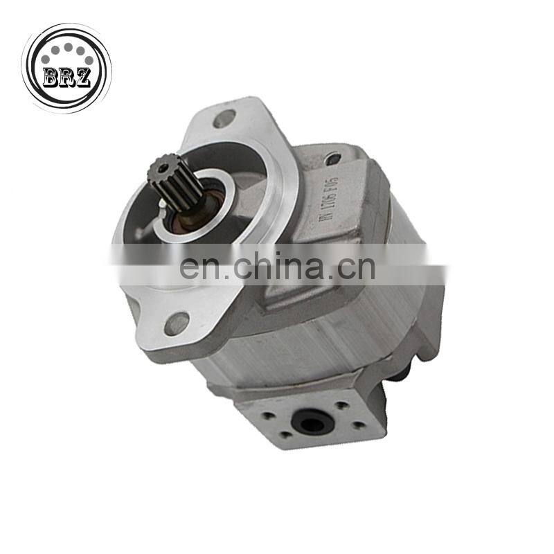 JS145W JS145 gear pump JS175 Pilot pump JS175W plunger pump
