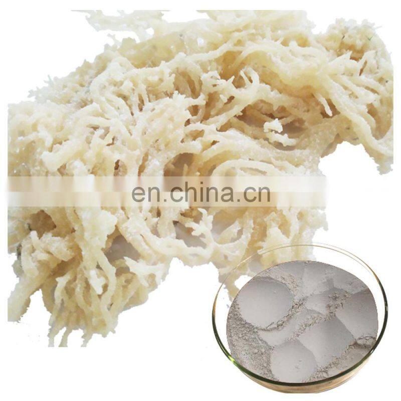 Seaweed Extract Health Food Supplement Solvent Extraction Irish Sea Moss Powder For Promoting Skin Health