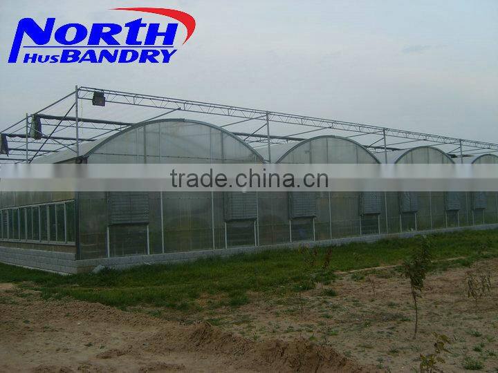 The Cheapest and Easily Installed Agricultural/ Commercial Green House