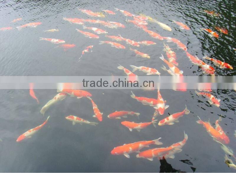 SUKABio-Gain EM/special for Aquaculture