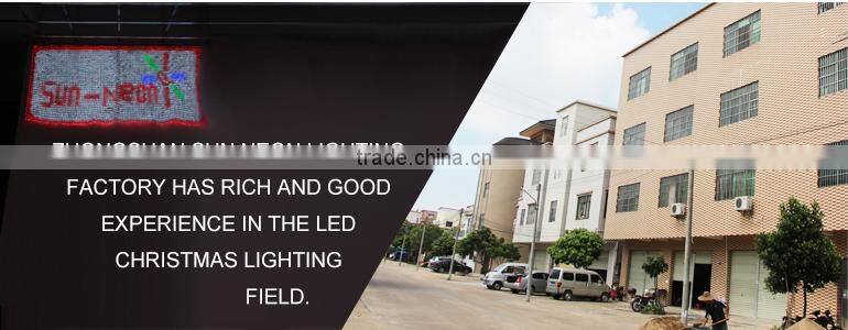 Incredible Led Draped Christmas Lights