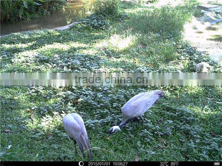 Promotion Wild Angle Animal Surveillance Hunting Camera