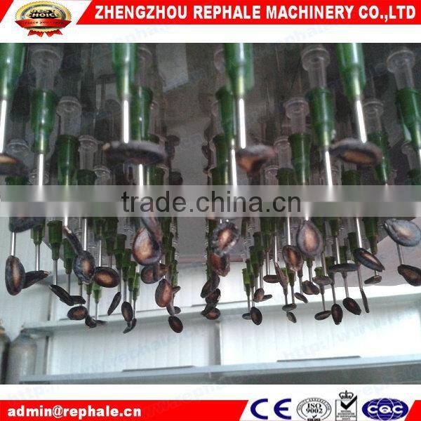 Vegetable grow seedling machine