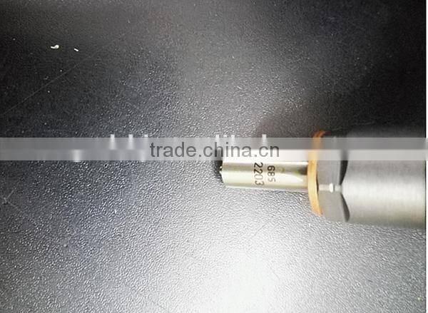 China High accuracy /factory price bosch common rail injector 0445120106 for DONGFENG RENAULT 11.0L 422KW