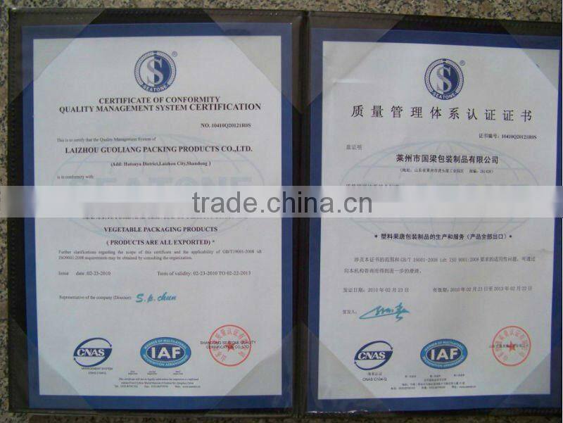 Pitaya Elastic foam sock