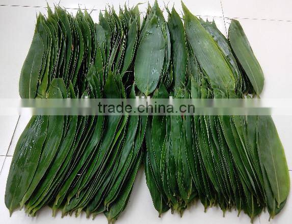 High quality bamboo leaves for Sushi