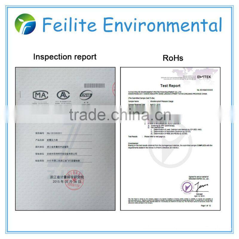 SS 304 capsule pressure gauge