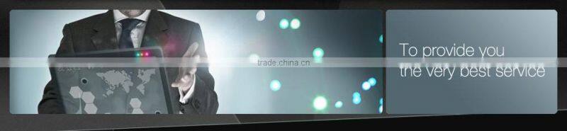 Mini 1200tvl Anti Vandal IR Dome Camera 2.8-12mm vari-focal lens,2MP