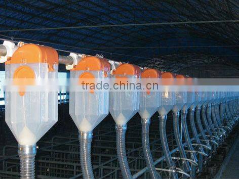 Modern High Quality Pig Farming Equipment