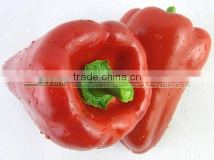 high quality yellow bell pepper colorful pepper on sale