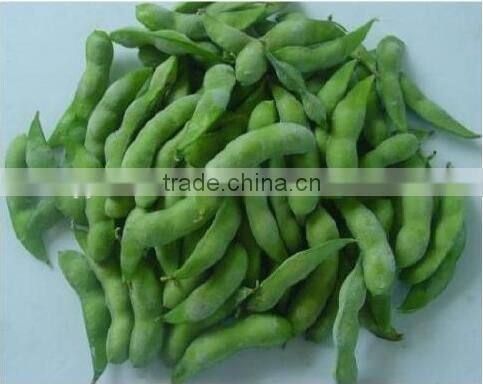 IQF Fresh Soybeans