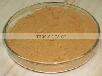 Bulk Supply Passiflora Incarnate Extract