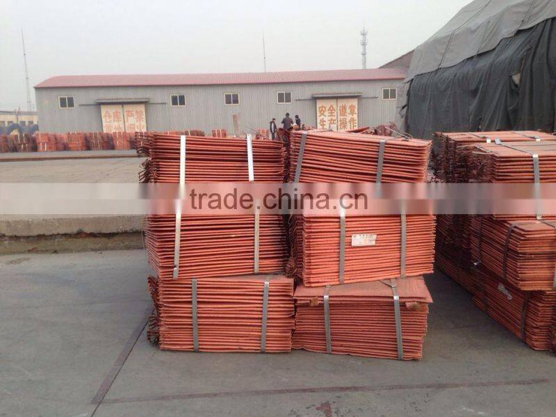 Factory and Manufacture Copper cathode 99.99% (A31)