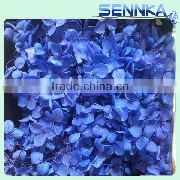 2016 Newest gold flower hydrangea preserved flower hydranger Fresh flowers farms directly