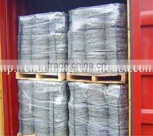 hot dip galvanized double line twist barb wire for security