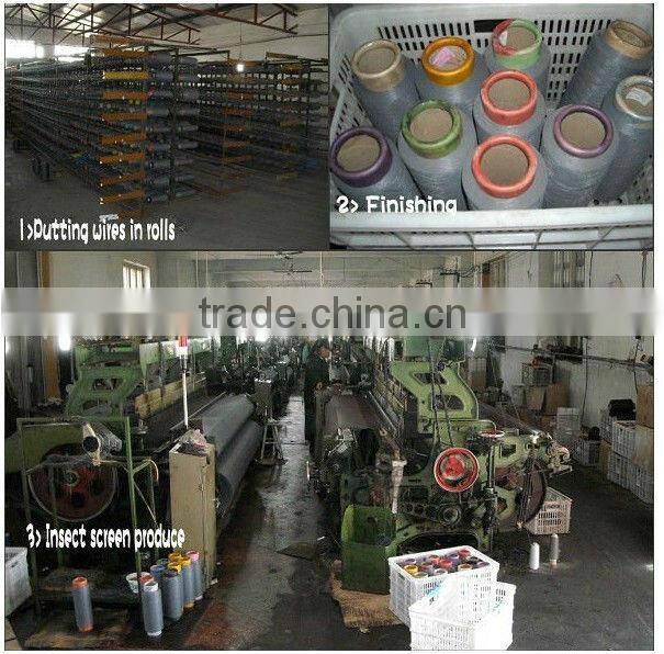 Window Screen(china factory)