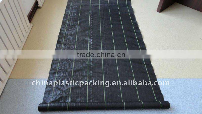 anti-grass cloth