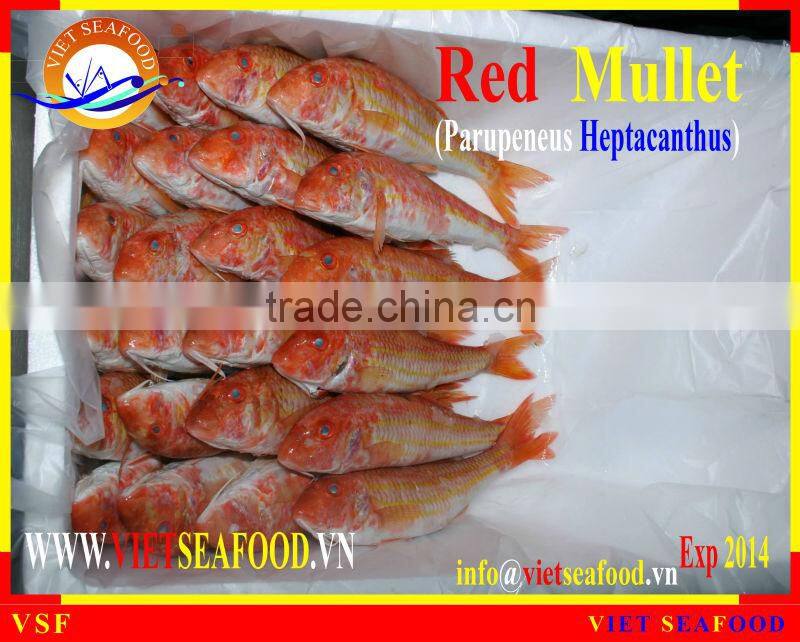 FROZEN W/R RED MULLET