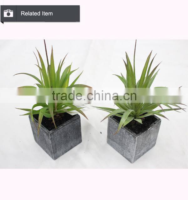 Artificial mini succulents potted succulent plant wholesale small succulent plants