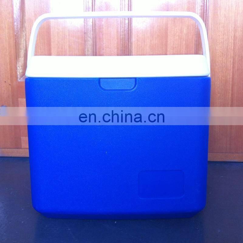 10L Car Cooler/Warmer Fridge Plastic Box for Picnic