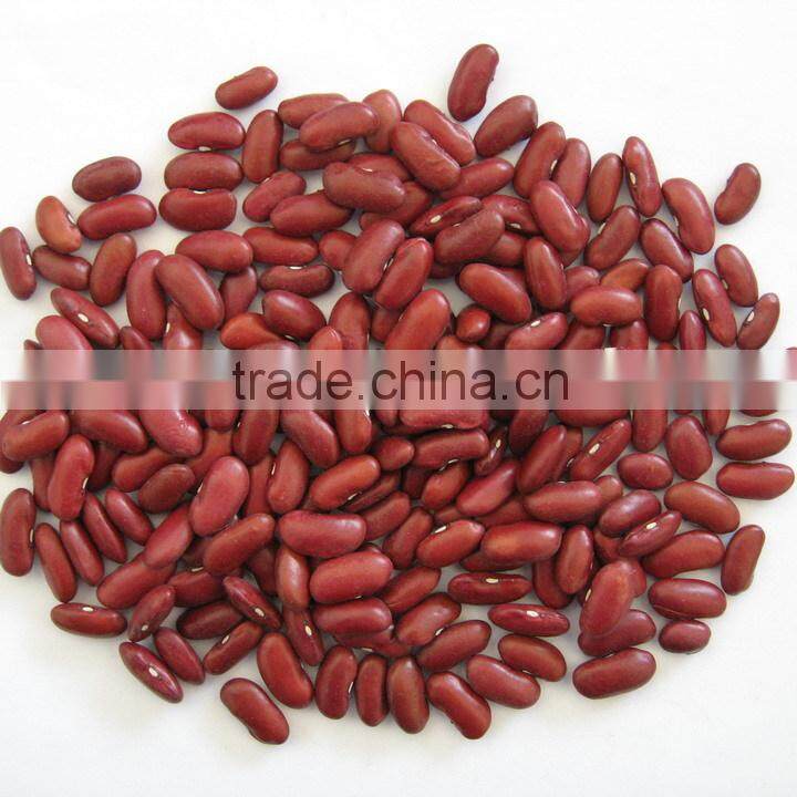 200-220 pcs/100g Chinese Dark Red Kidney Bean Prices
