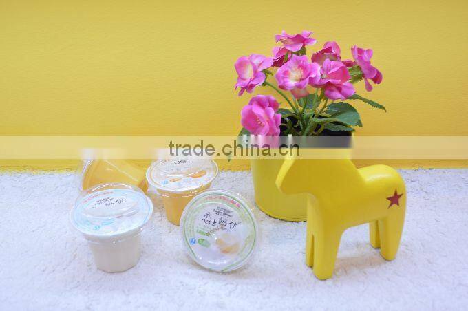 100g assorted fruity lactobacillus fruit cup Jelly