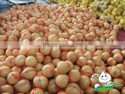 wholesale fresh honey pomelo