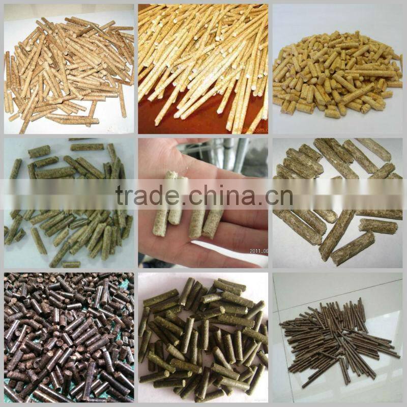 Leeho Vertical Double Layer Ring Die Pellet Mill Sale in EU