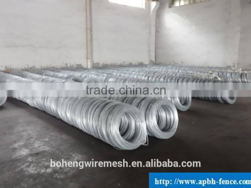 Electro/Hot Dipped Galvanized Steel Wire Factory