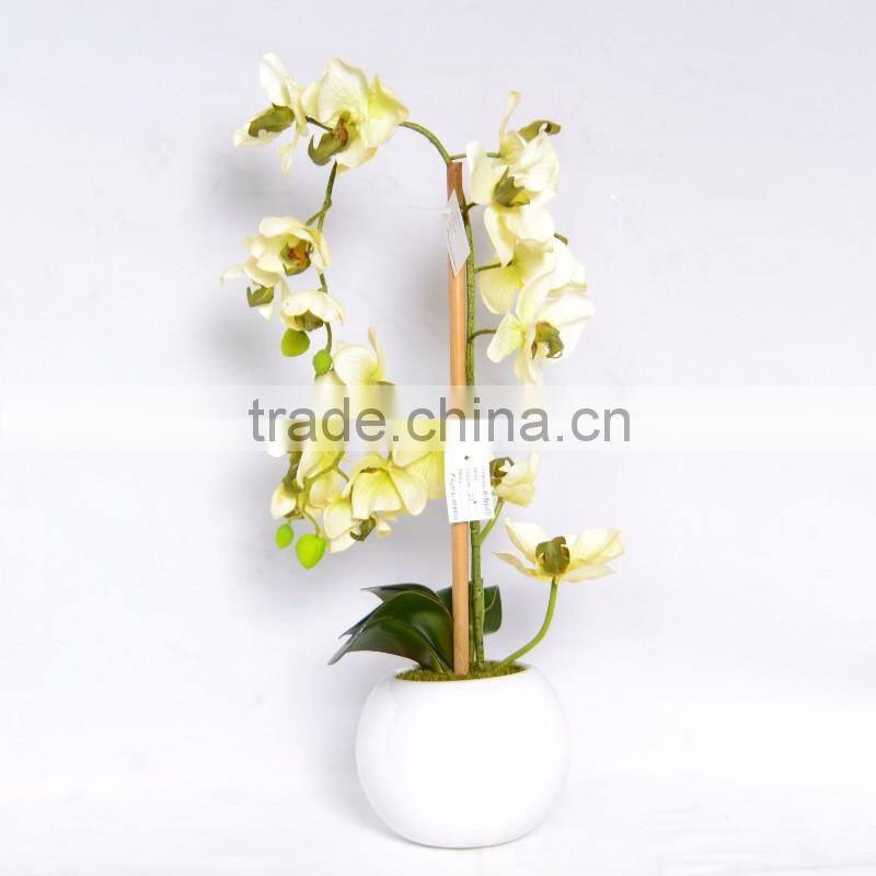 Phalaenopsis Orchid Silk Flower Arrangement