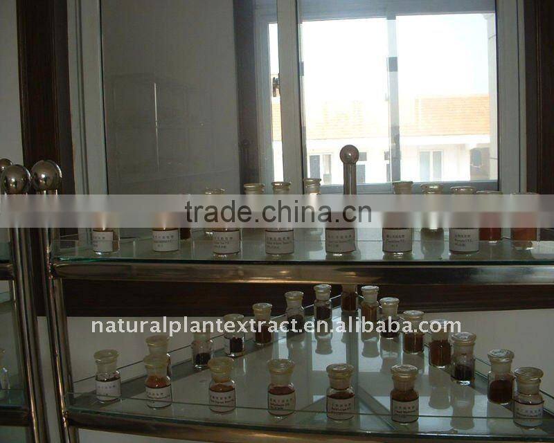 ISO Certified Black Cohosh Plant Extract/Black Cohosh Extract/ Cimicifugoside 2.5%,5%,8%