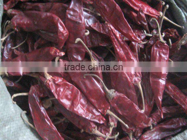 American red chilli
