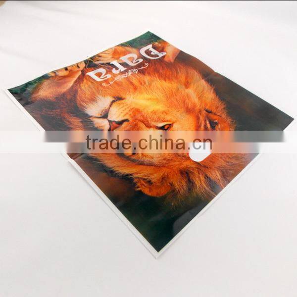 Customized Printing die cut patch handle bag, die cut hang hole bag, die cut poly bags