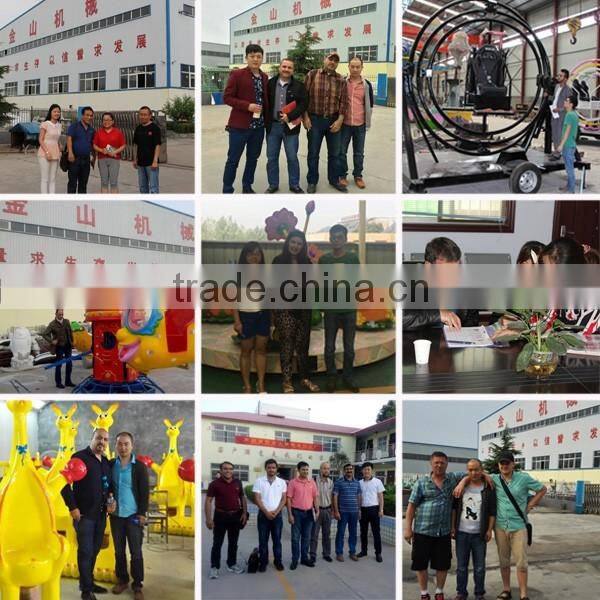 Cheap Kiddie mini ferris wheel with 10 seats