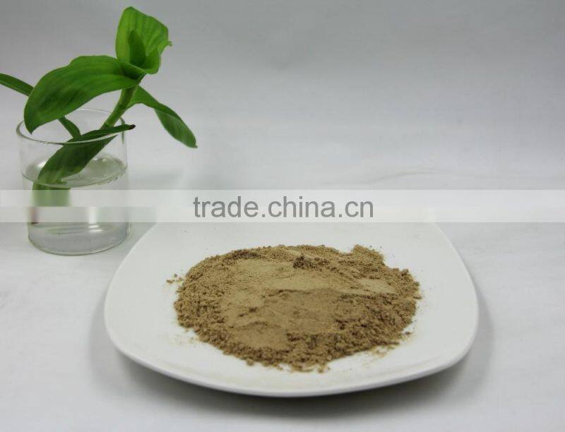 Pure natural Shitake Mushroom Powder / Shitake Mushroom Extract / Polysaccharides