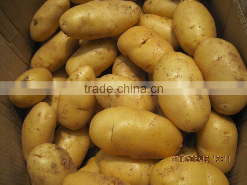 food potatoes