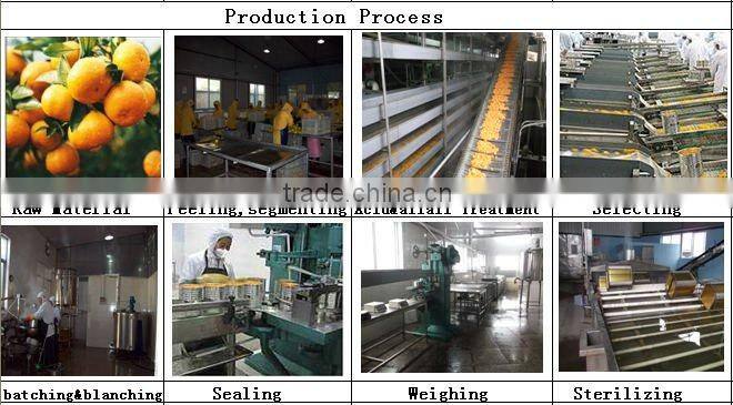 3kg grapefruit orange sac