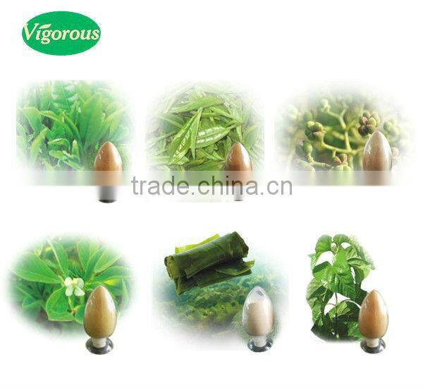 Qingdao BNP Suplies 100% Natural 95% organic natural Inulin/synanthrin from Jerusalem artichoke dietary fiber inulin powder