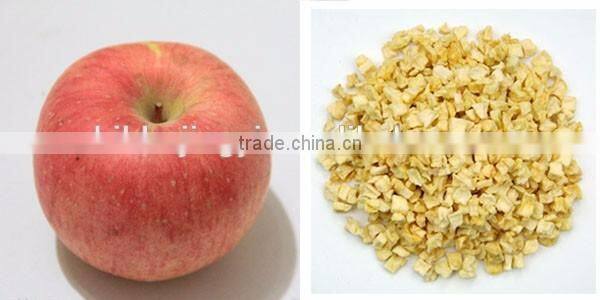 Dried fruits dried apple dried apple dice