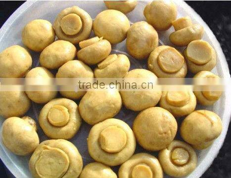 champignons mushroom in brine,brined mushrooms