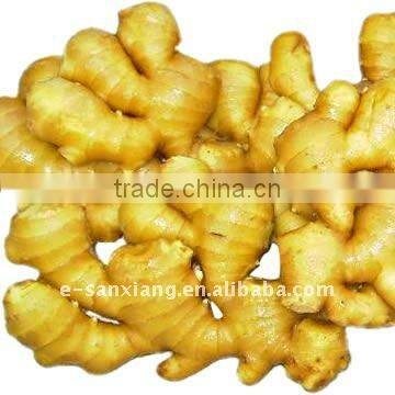 fresh dry skin ginger