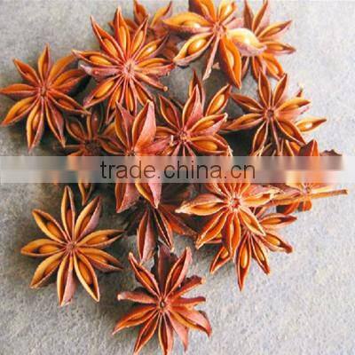 High Quality with Best Price Illicium Verum