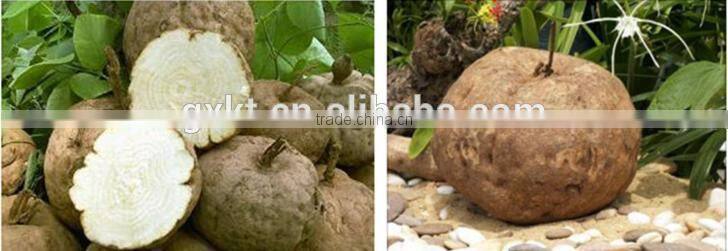 Thailand Pueraria Mirifica Capsules Big Breast Enhancement 1000 pcs